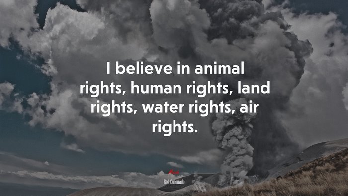 I believe in animal rights, human rights, land rights, water rights, air rights. | Rod Coronado quote