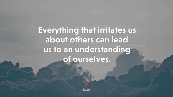 Everything that irritates us about others can lead us to an understanding of ourselves. | C.G. Jung quote