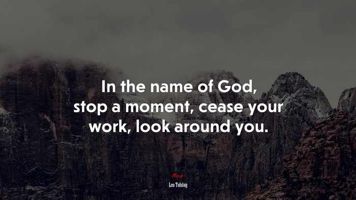 In the name of God, stop a moment, cease your work, look around you. | Leo Tolstoy quote