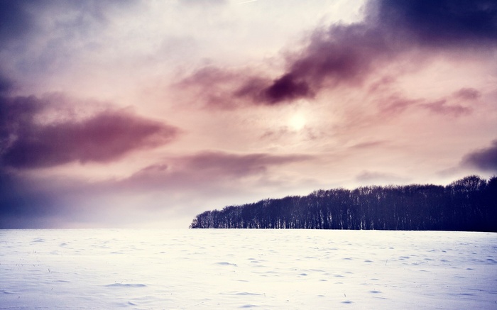 Snowy field with trees under a cloudy sky