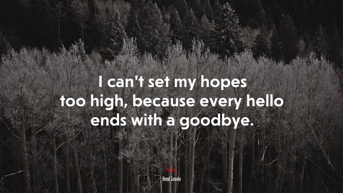 I cant set my hopes too high, because every hello ends with a goodbye. | Demi Lovato quote