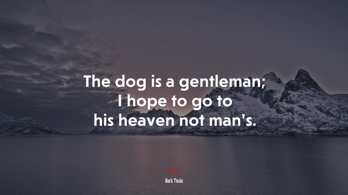 The dog is a gentleman; I hope to go to his heaven not man’s. | Mark Twain quote