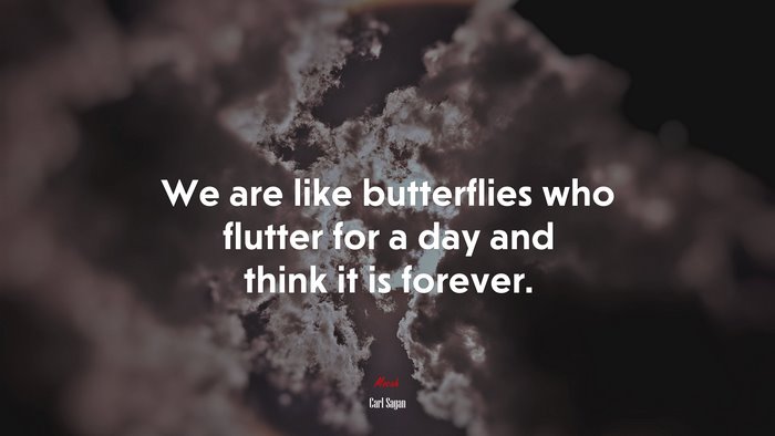 We are like butterflies who flutter for a day and think it is forever. | Carl Sagan quote