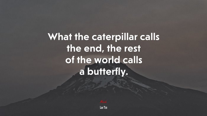 What the caterpillar calls the end, the rest of the world calls a butterfly. | Lao Tzu quote