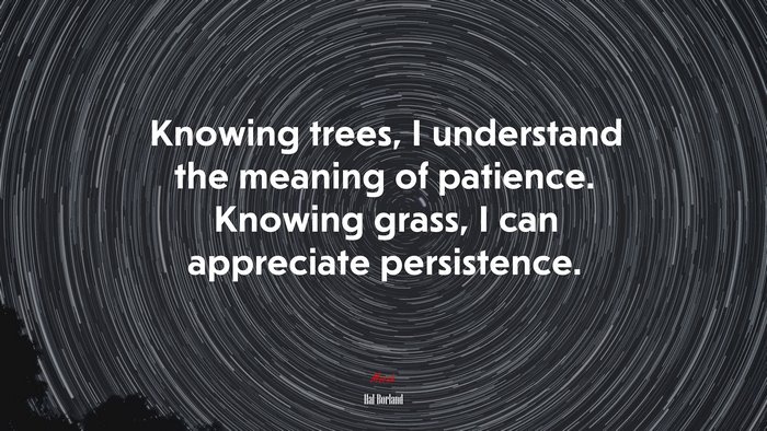 Knowing trees, I understand the meaning of patience. Knowing grass, I can appreciate persistence. | Hal Borland quote