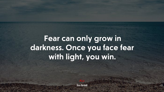Fear can only grow in darkness. Once you face fear with light, you win. | Steve Maraboli quote