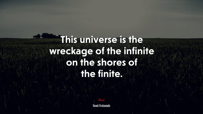 This universe is the wreckage of the infinite on the shores of the finite. | Swami Vivekananda quote