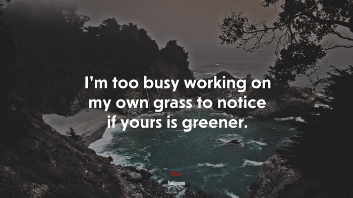 I’m too busy working on my own grass to notice if yours is greener. | Anonymous quote