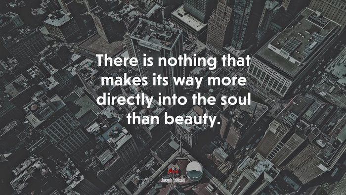 There is nothing that makes its way more directly into the soul than beauty. | Joseph Addison quote