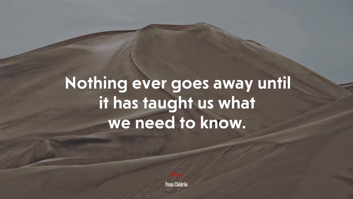 Nothing ever goes away until it has taught us what we need to know. | Pema Chödrön quote