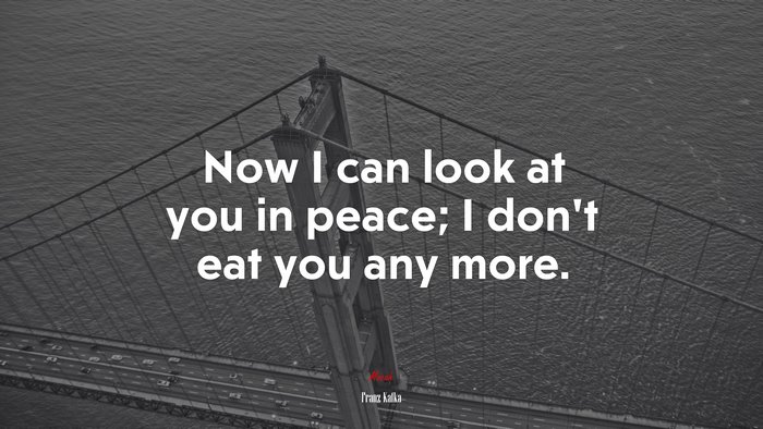 Now I can look at you in peace; I don’t eat you any more. | Franz Kafka quote