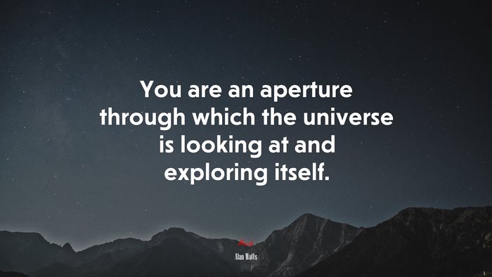 You are an aperture through which the universe is looking at and exploring itself. | Alan Watts quote