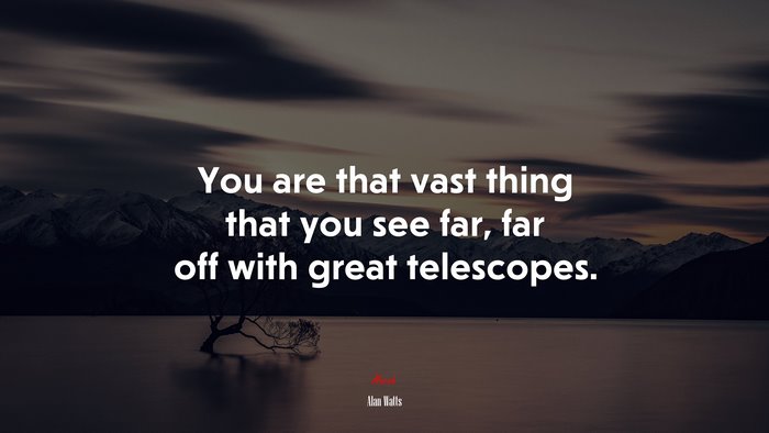 You are that vast thing that you see far, far off with great telescopes. | Alan Watts quote
