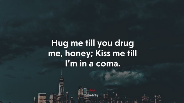 Hug me till you drug me, honey; Kiss me till I’m in a coma. | Aldous Huxley quote
