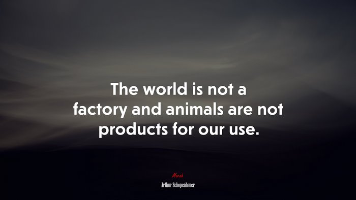 The world is not a factory and animals are not products for our use. | Arthur Schopenhauer quote