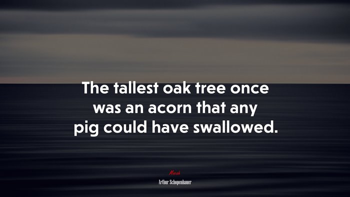 The tallest oak tree once was an acorn that any pig could have swallowed. | Arthur Schopenhauer quote