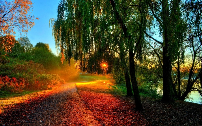 Sunlight filters through trees onto a path in autumn