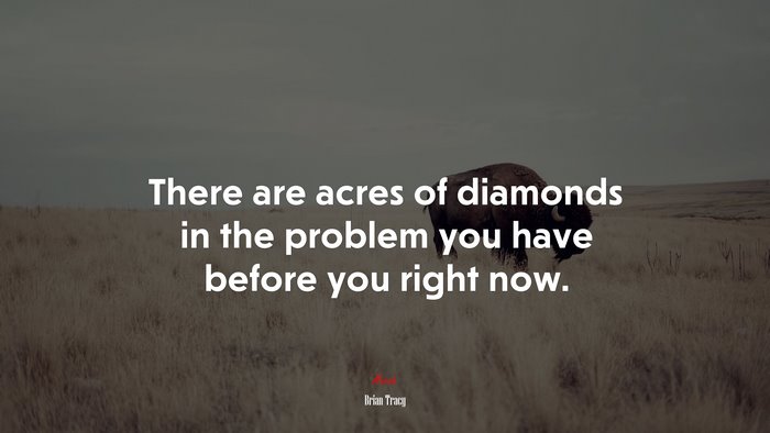 There are acres of diamonds in the problem you have before you right now. | Brian Tracy quote