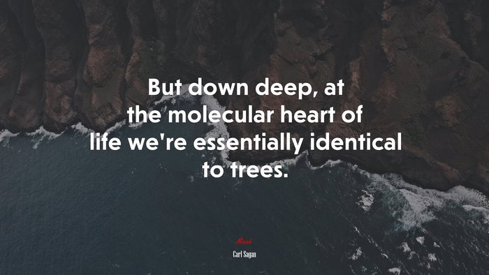 But down deep, at the molecular heart of life we’re essentially identical to trees. | Carl Sagan quote