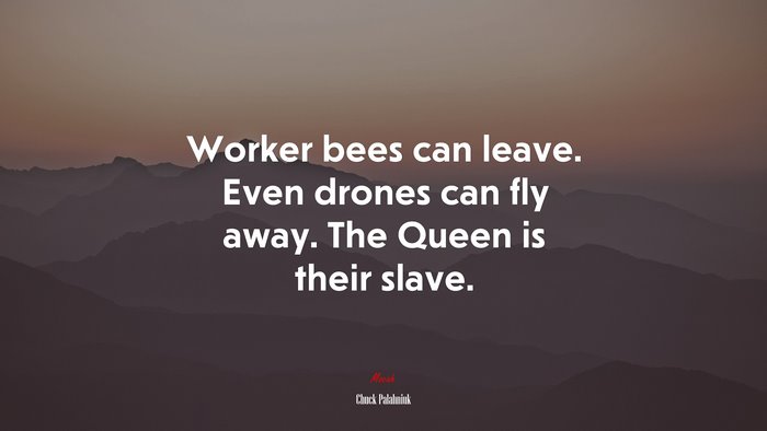 Worker bees can leave. Even drones can fly away. The Queen is their slave. | Chuck Palahniuk quote