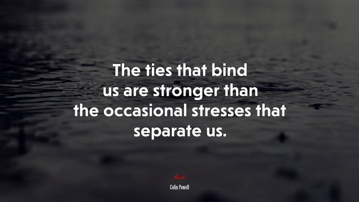 The ties that bind us are stronger than the occasional stresses that separate us. | Colin Powell quote