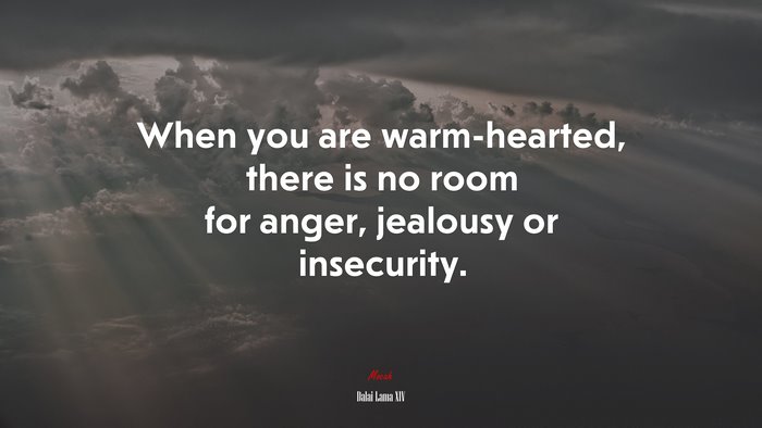 When you are warm-hearted, there is no room for anger, jealousy or insecurity. | Dalai Lama XIV quote