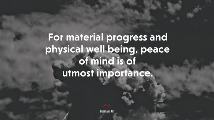 For material progress and physical well being, peace of mind is of utmost importance. | Dalai Lama XIV quote