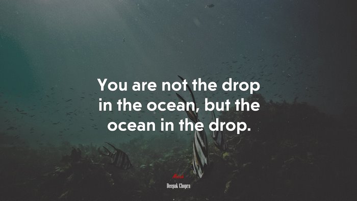 You are not the drop in the ocean, but the ocean in the drop. | Deepak Chopra quote