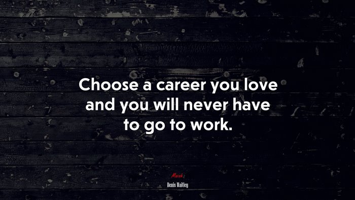 Choose a career you love and you will never have to go to work. | Denis Waitley quote