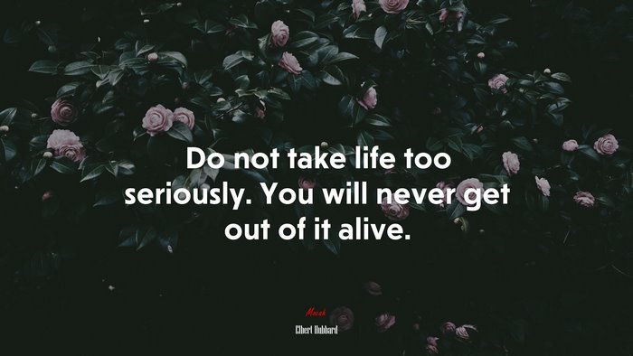 Do not take life too seriously. You will never get out of it alive. | Elbert Hubbard quote