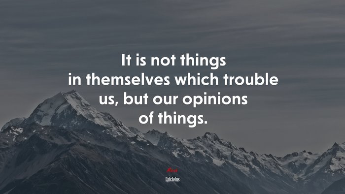 It is not things in themselves which trouble us, but our opinions of things. | Epictetus quote