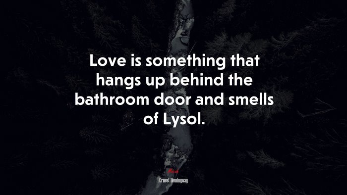 Love is something that hangs up behind the bathroom door and smells of Lysol. | Ernest Hemingway quote