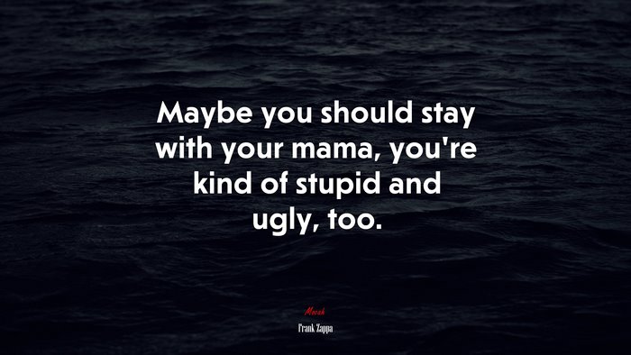 Maybe you should stay with your mama, you’re kind of stupid and ugly, too. | Frank Zappa quote