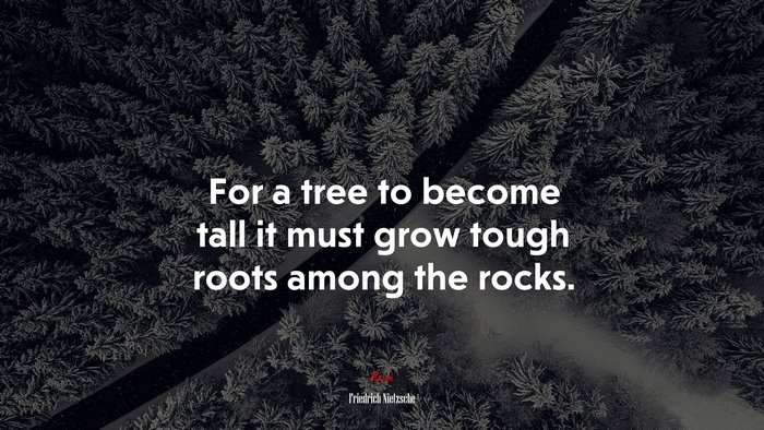 For a tree to become tall it must grow tough roots among the rocks. | Friedrich Nietzsche quote