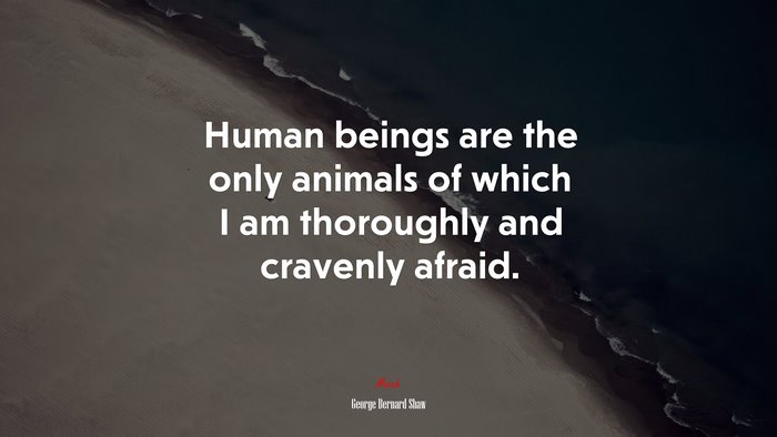 Human beings are the only animals of which I am thoroughly and cravenly afraid. | George Bernard Shaw quote