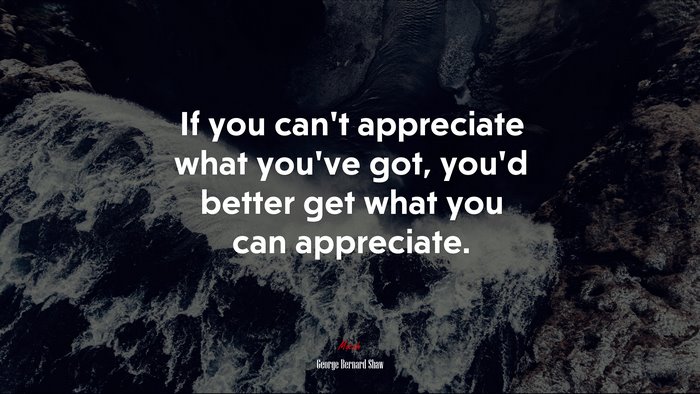 If you can’t appreciate what you’ve got, you’d better get what you can appreciate. | George Bernard Shaw quote