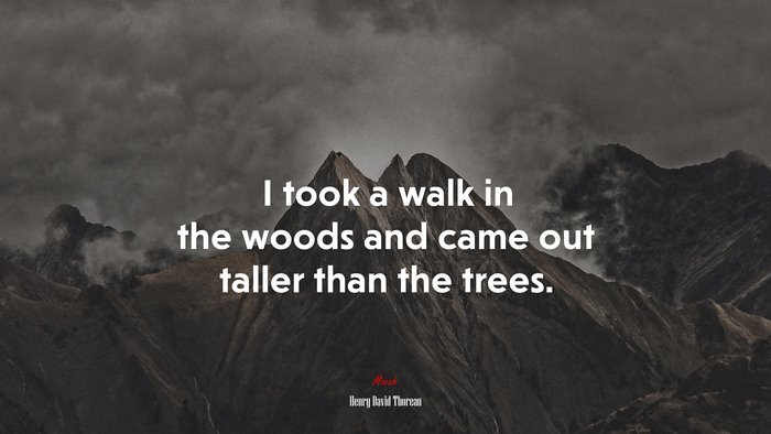 I took a walk in the woods and came out taller than the trees. | Henry David Thoreau quote