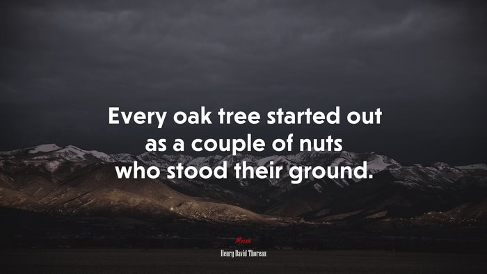 Every oak tree started out as a couple of nuts who stood their ground. | Henry David Thoreau quote