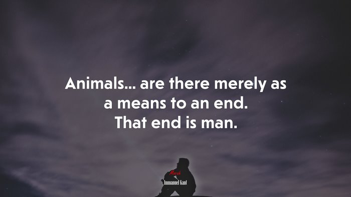Animals... are there merely as a means to an end. That end is man. | Immanuel Kant quote
