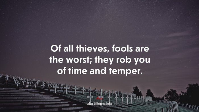 Of all thieves, fools are the worst; they rob you of time and temper. | Johann Wolfgang von Goethe quote
