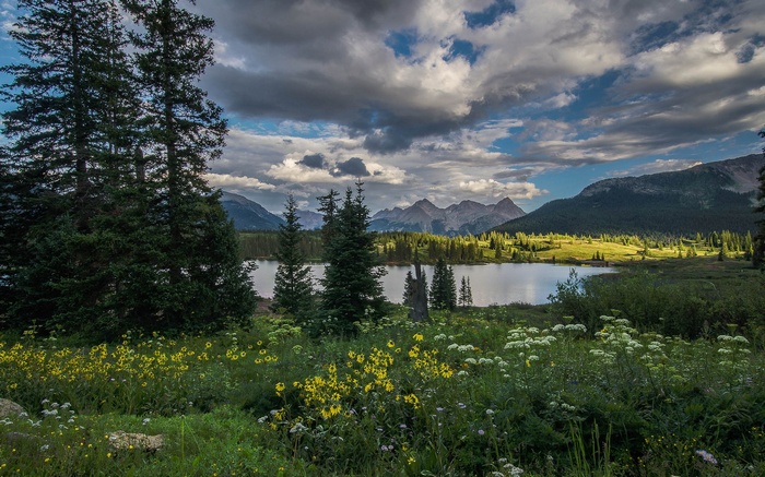 Mountain lake with wildflowers and pine trees