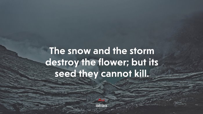 The snow and the storm destroy the flower; but its seed they cannot kill. | Khalil Gibran quote