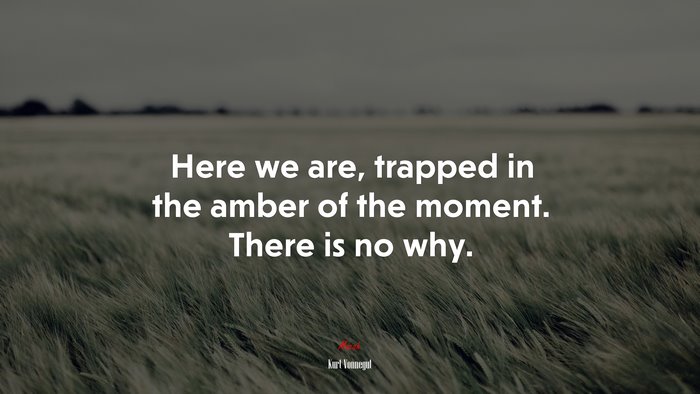Here we are, trapped in the amber of the moment. There is no why. | Kurt Vonnegut quote