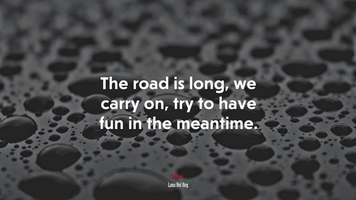 The road is long, we carry on, try to have fun in the meantime. | Lana Del Rey quote