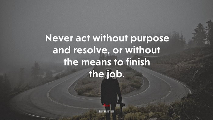 Never act without purpose and resolve, or without the means to finish the job. | Marcus Aurelius quote