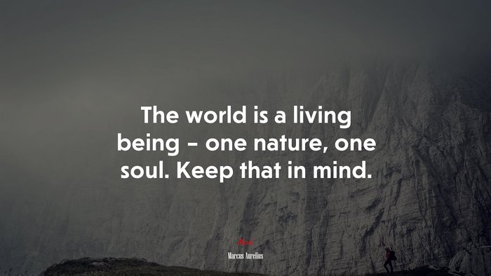 The world is a living being – one nature, one soul. Keep that in mind. | Marcus Aurelius quote