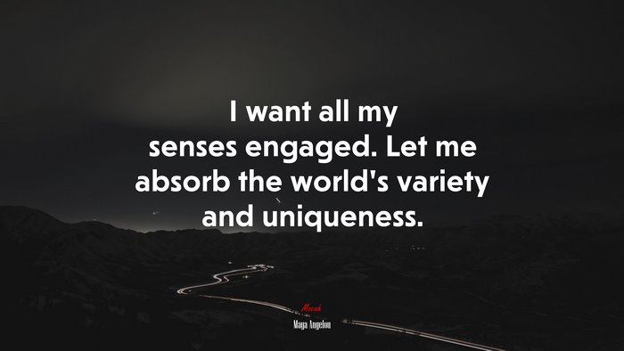 I want all my senses engaged. Let me absorb the world’s variety and uniqueness. | Maya Angelou quote