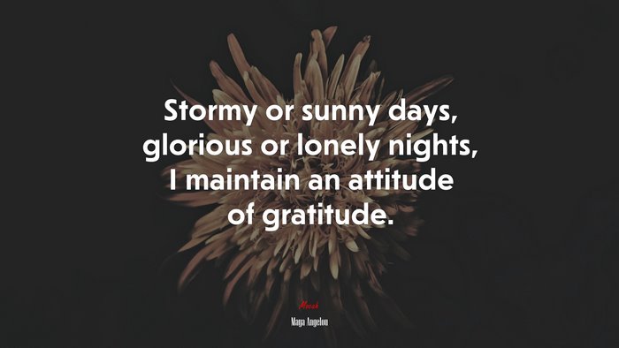 Stormy or sunny days, glorious or lonely nights, I maintain an attitude of gratitude. | Maya Angelou quote