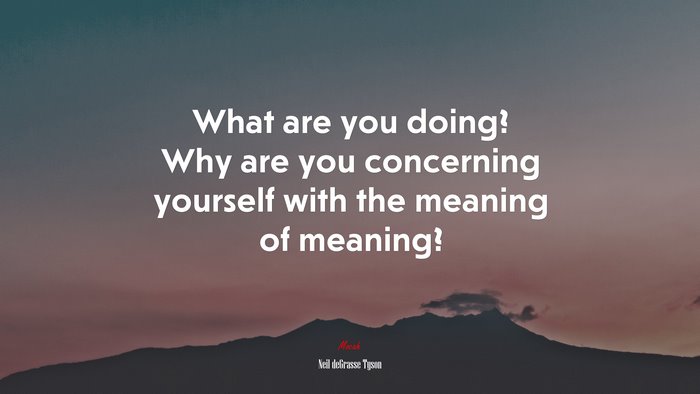 What are you doing? Why are you concerning yourself with the meaning of meaning? | Neil deGrasse Tyson quote