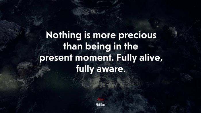 Nothing is more precious than being in the present moment. Fully alive, fully aware. | Nhat Hanh quote